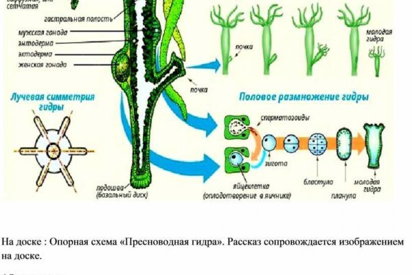 Рабочая ссылка на blacksprut blacksprute com